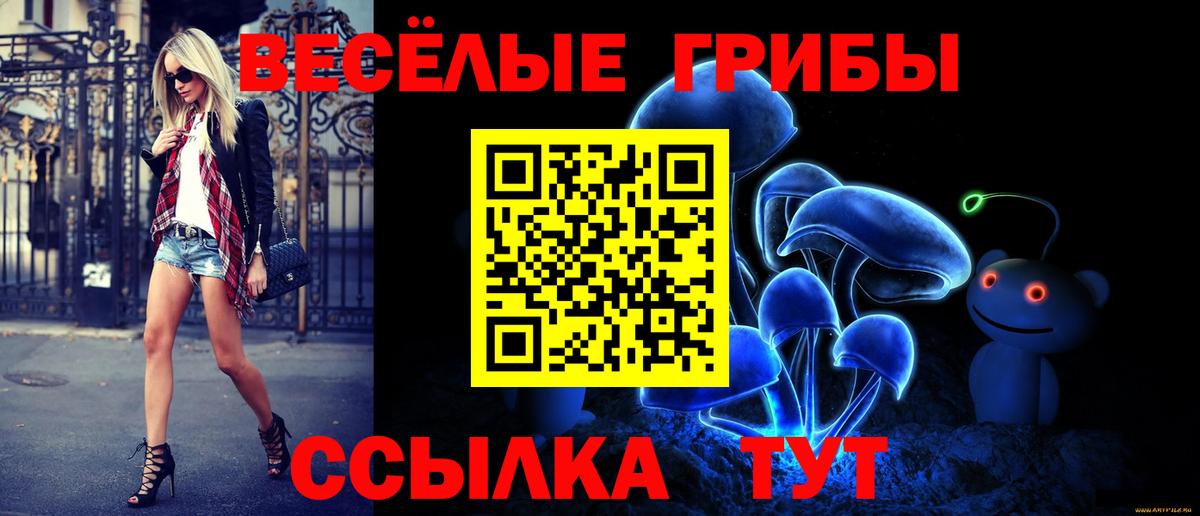 Слободской  Псилоцибиновые грибы прущие грибы  Вход с VPN 